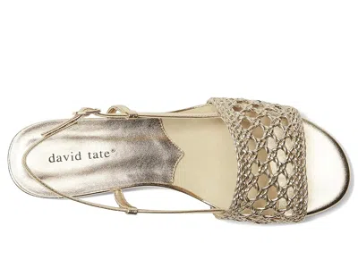 David Tate Danza In Gold