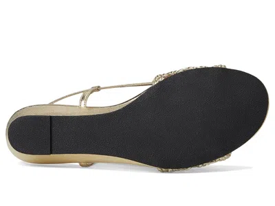 David Tate Danza In Gold