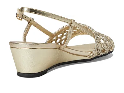 David Tate Danza In Gold