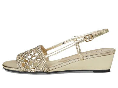 David Tate Danza In Gold