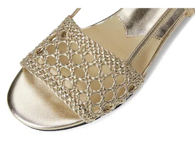 David Tate Danza In Gold