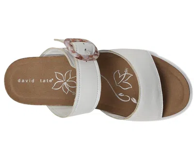 David Tate Fantasy In White