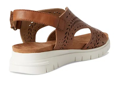 David Tate Moda In Brown