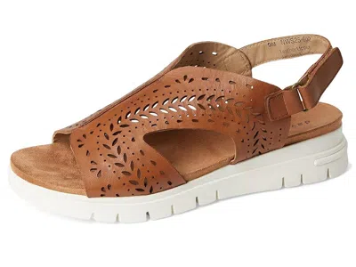 David Tate Moda In Brown