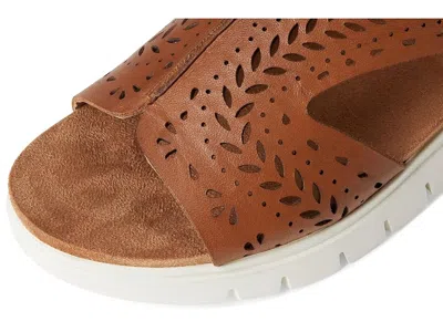 David Tate Moda In Brown