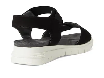 David Tate Papaya In Black