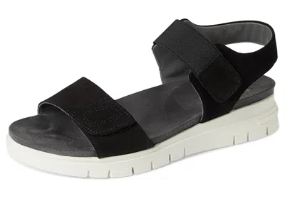 David Tate Papaya In Black