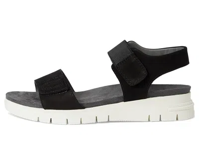 David Tate Papaya In Black