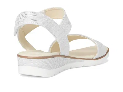 David Tate Scala In White