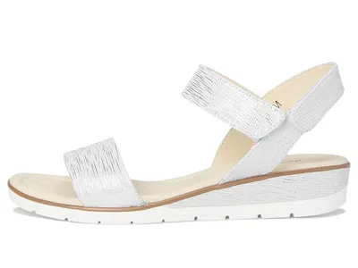 David Tate Scala In White