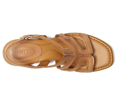 Born Sofia In Brown