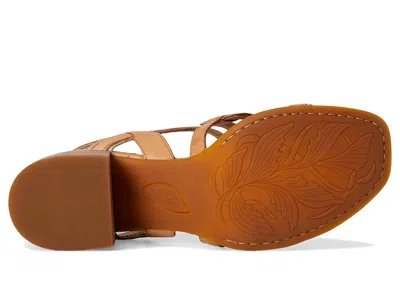 Born Sofia In Brown