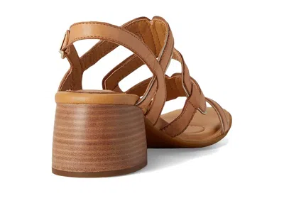Born Sofia In Brown
