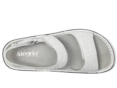 Alegria Verona In Multi