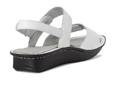 Alegria Verona In Multi