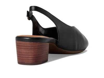 Softwalk Lakewood Sandal In Black