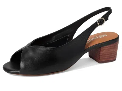 Softwalk Lakewood Sandal In Black