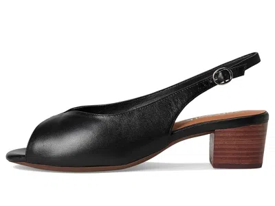Softwalk Lakewood Sandal In Black