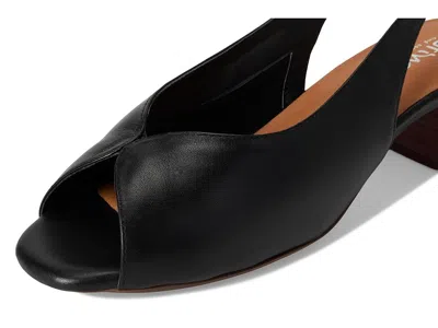 Softwalk Lakewood Sandal In Black