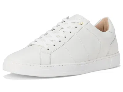 Vionic Lucas Ii Oxfords In Multi