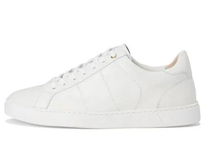 Vionic Lucas Ii Oxfords In Multi