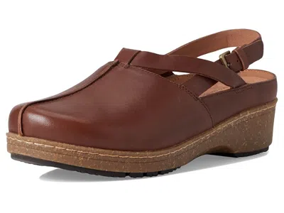 Softwalk Arica In Brown