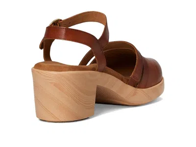 Softwalk Fillmore In Brown