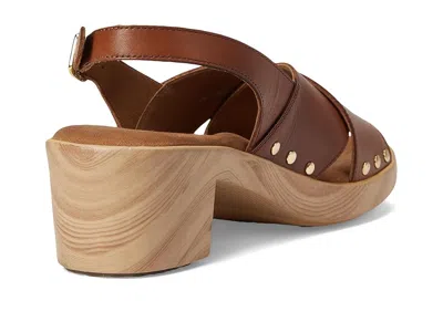 Softwalk Florence In Brown