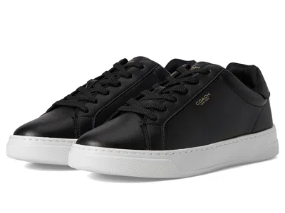 Coach Round Head Low-cut Casual Shoes In Black