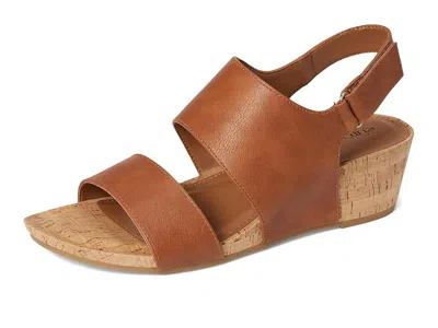 Eurosoft Reba In Multi