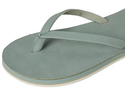 Hari Mari Meadows In Green