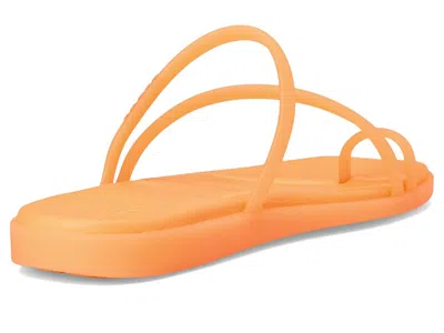 Crocs Miami Toe Loop Sandal In Orange