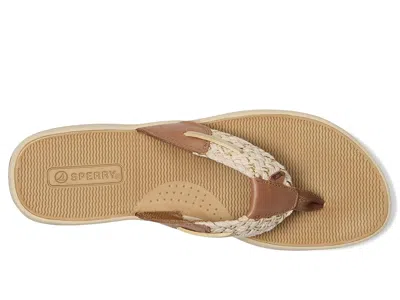 Sperry Parrotfish In Brown