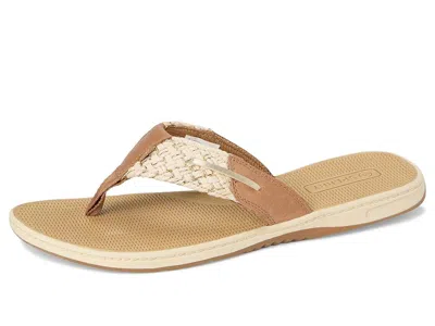 Sperry Parrotfish In Brown