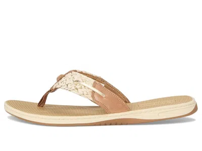 Sperry Parrotfish In Brown