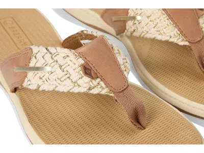 Sperry Parrotfish In Brown