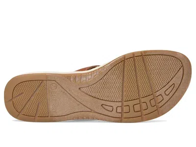 Sperry Parrotfish Braid In Multi