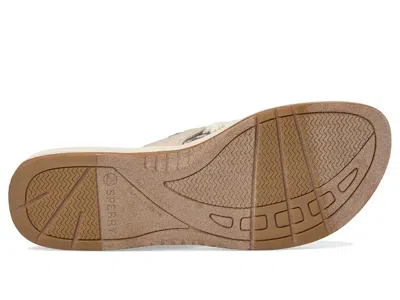 Sperry Parrotfish Braid In Brown