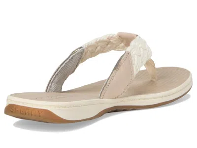 Sperry Parrotfish Braid In Brown