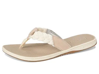 Sperry Parrotfish Braid In Brown