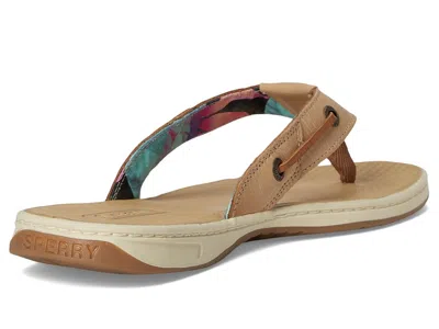 Sperry Seafish In Brown
