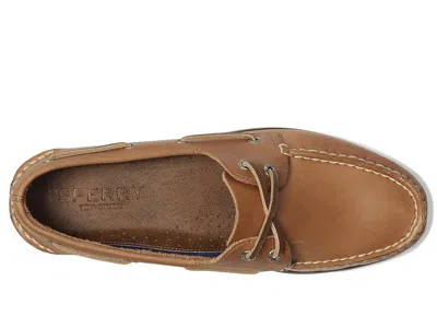 Sperry Ao 2 Eye In Multi