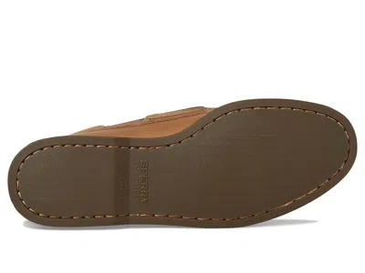 Sperry Ao 2 Eye In Multi
