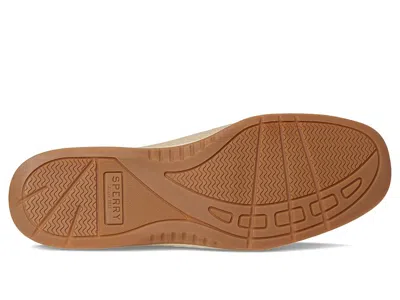 Sperry Angelfish In Brown