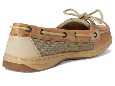 Sperry Angelfish In Sand