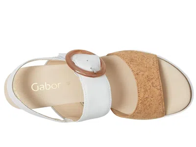 Gabor 64.645 In Multi