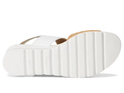 Gabor 64.645 In Multi