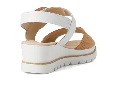 Gabor 64.645 In Multi