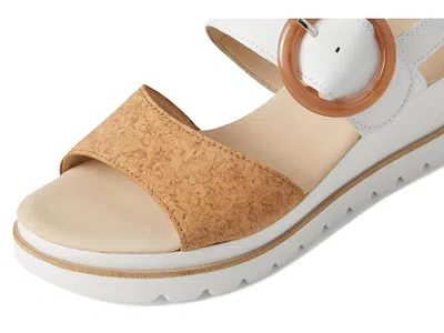 Gabor 64.645 In Multi