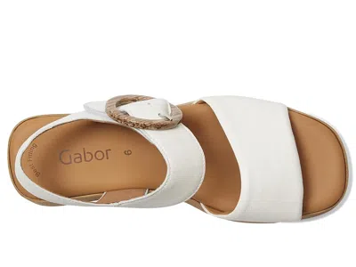Gabor 64.520 In Brown
